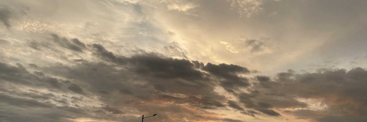 alu_daniela's profile banner image