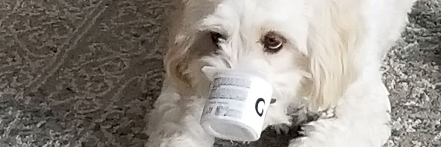 odonns24's profile banner image