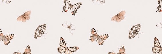 jaylenehollohan's profile banner image