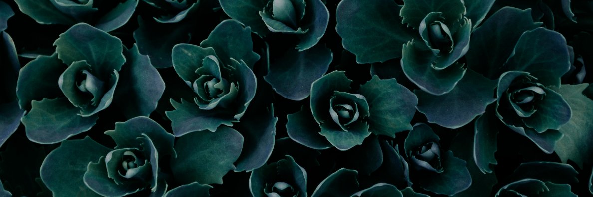 HRKest's profile banner image