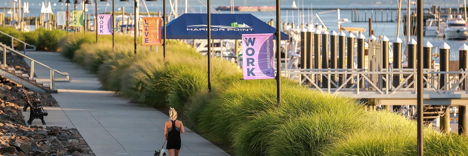 Harbor Point banner
