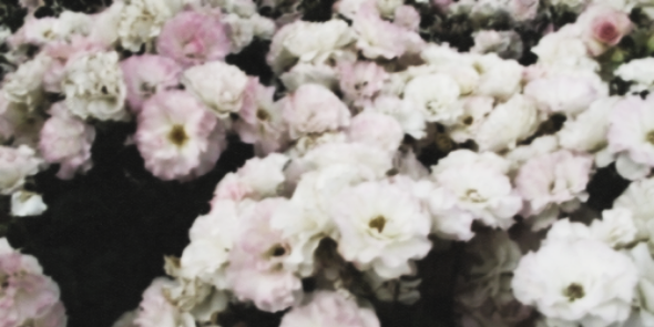 itslougdrs's profile banner image