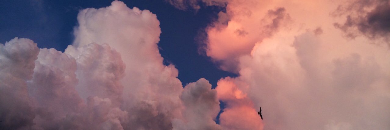 _shaaayldn's profile banner image