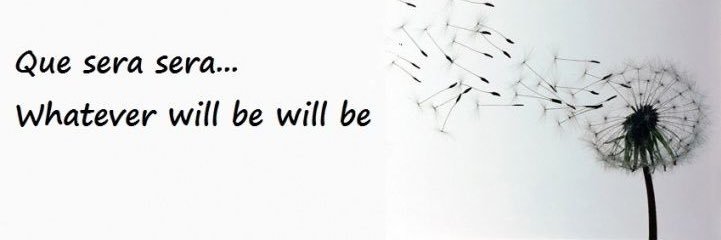 Raven8690's profile banner image