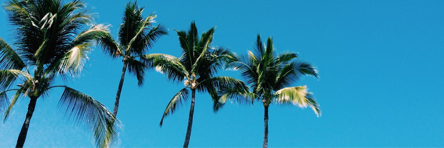 KainaniMasuda's profile banner image