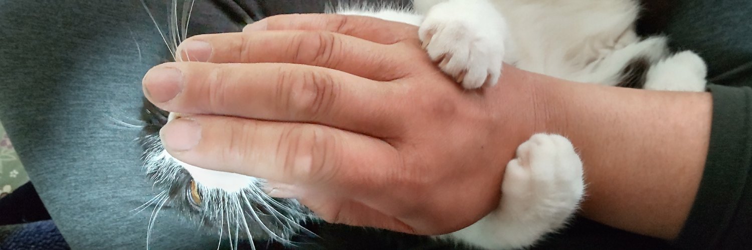 千葉の山猫 banner