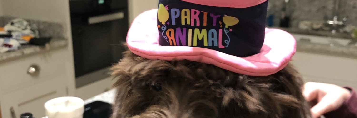 TrishGooch's profile banner image