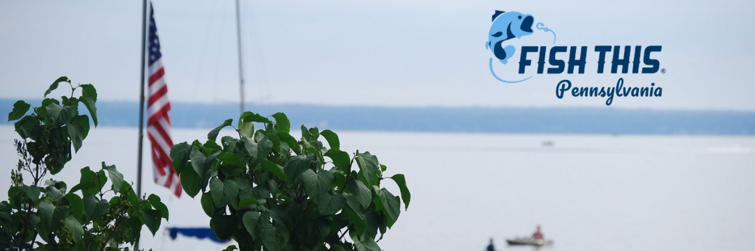 fishingthis's profile banner image