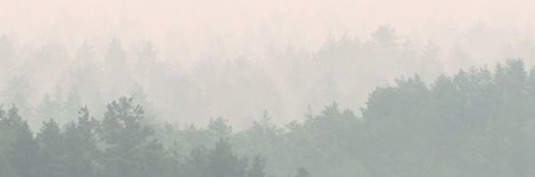 alect_7's profile banner image