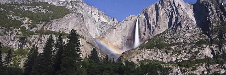 Caddy Turveydrop banner