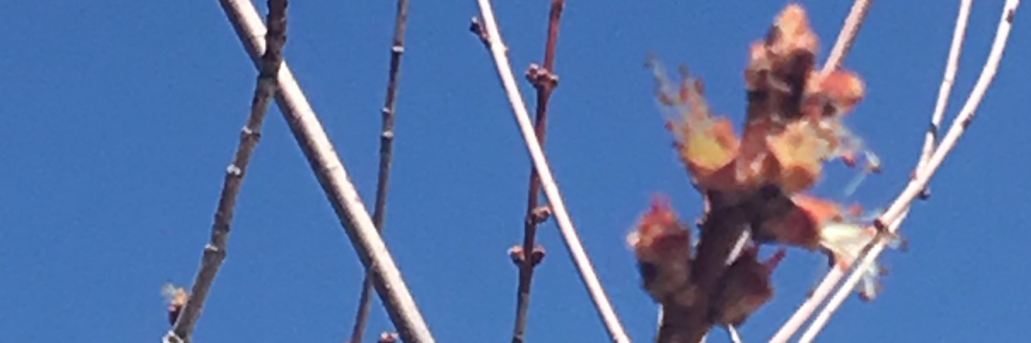 deboffaith's profile banner image