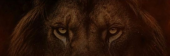 cihatbolukbasi's profile banner image