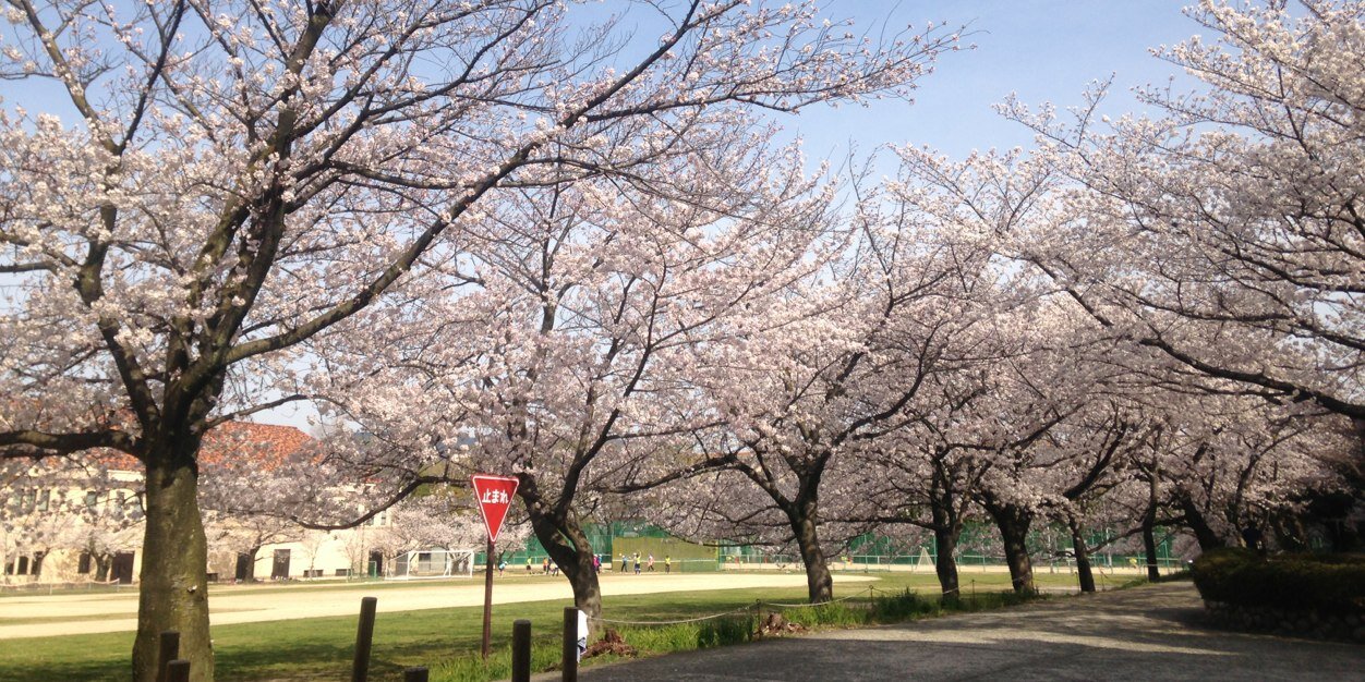 神戸女学院大 津軽三味線部 banner
