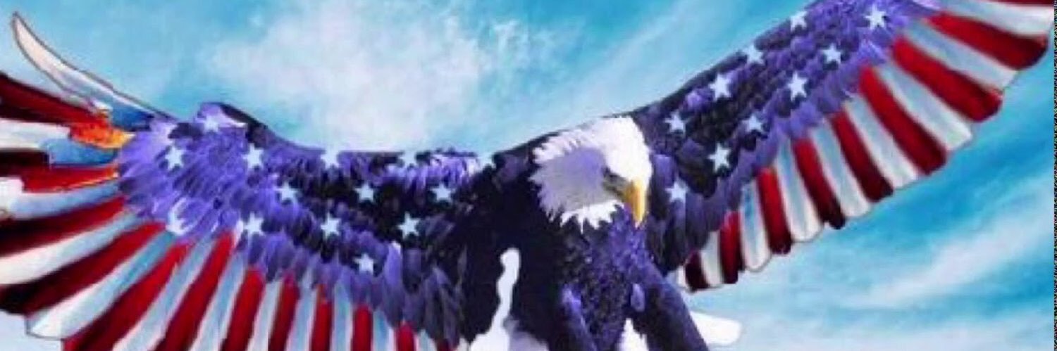 taylorgash's profile banner image