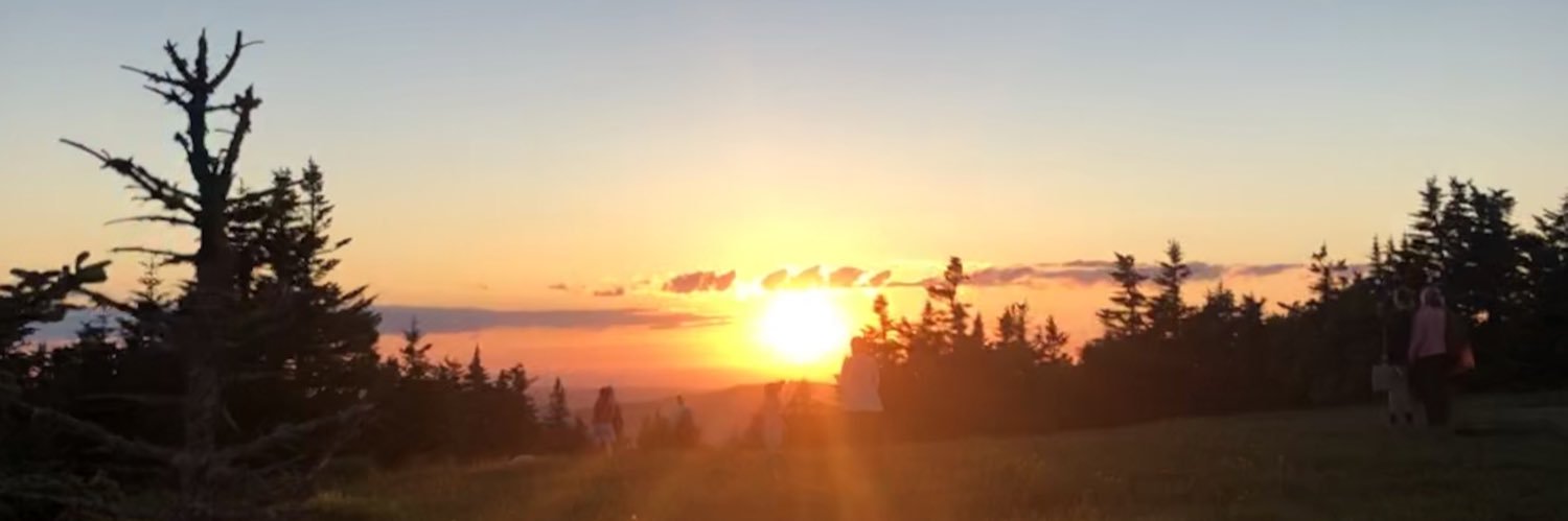 RachelGrzelak's profile banner image