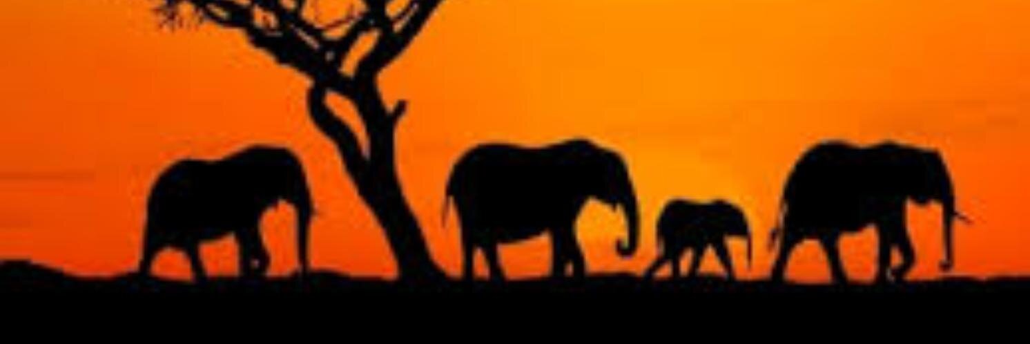wordsofelizabet's profile banner image
