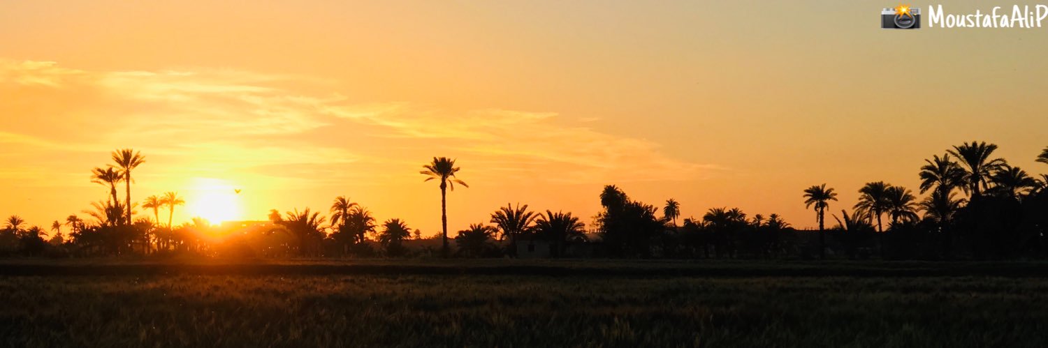 elabaiedy's profile banner image