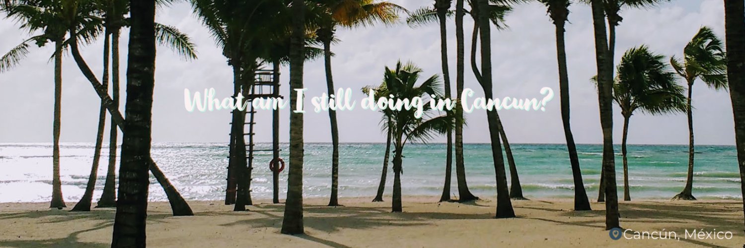 Kristin Busse banner