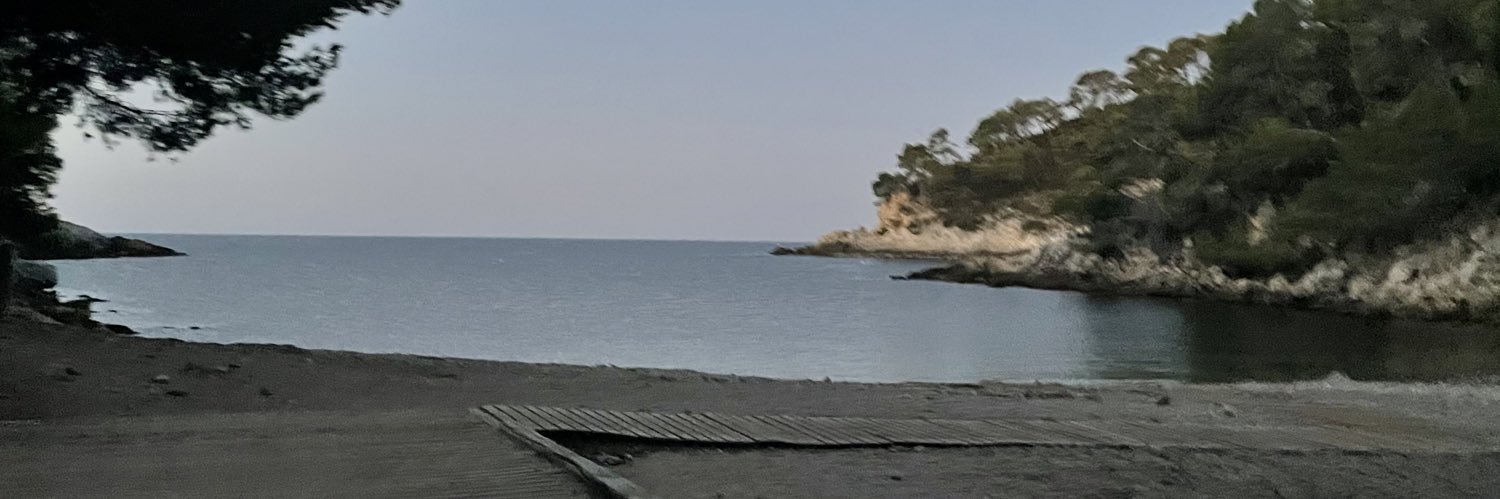 fanny_sulpice's profile banner image
