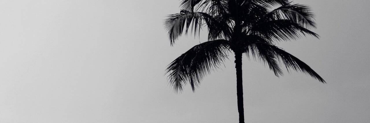 Bekzwade's profile banner image