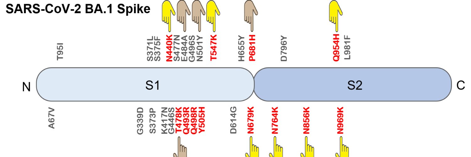 Hideki Kakeya, Dr.Eng. banner