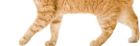 🚦Py of edtwt? 🚥 banner