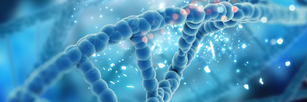 We Work For Health Maryland banner