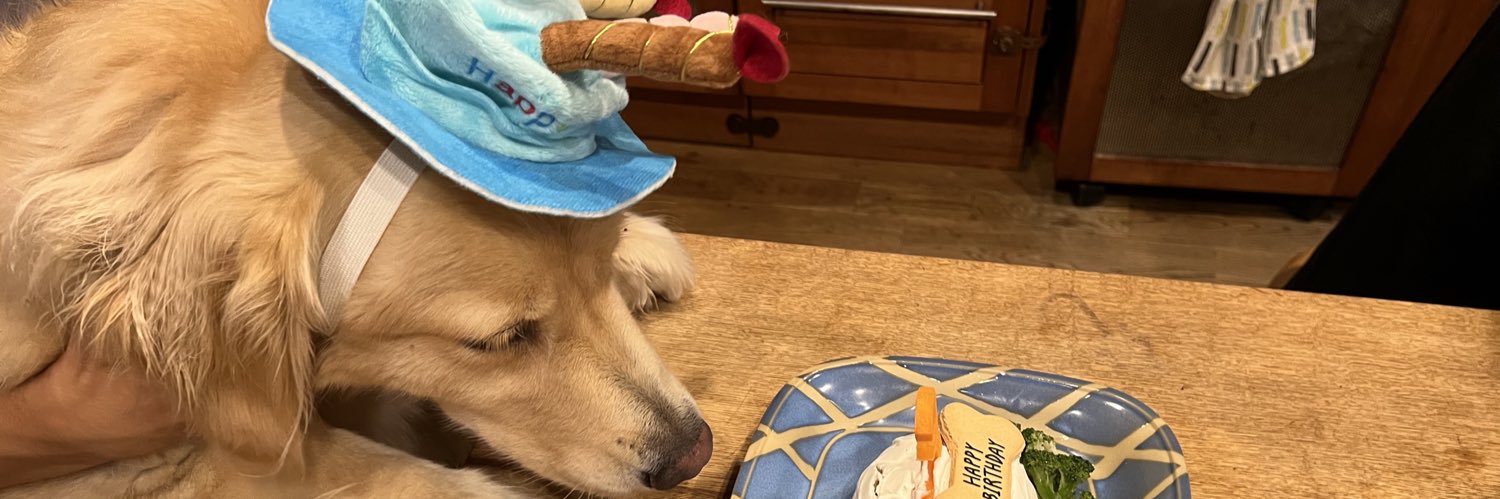 JUN☆やり直し banner