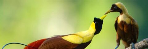 KJMJ_H's profile banner image