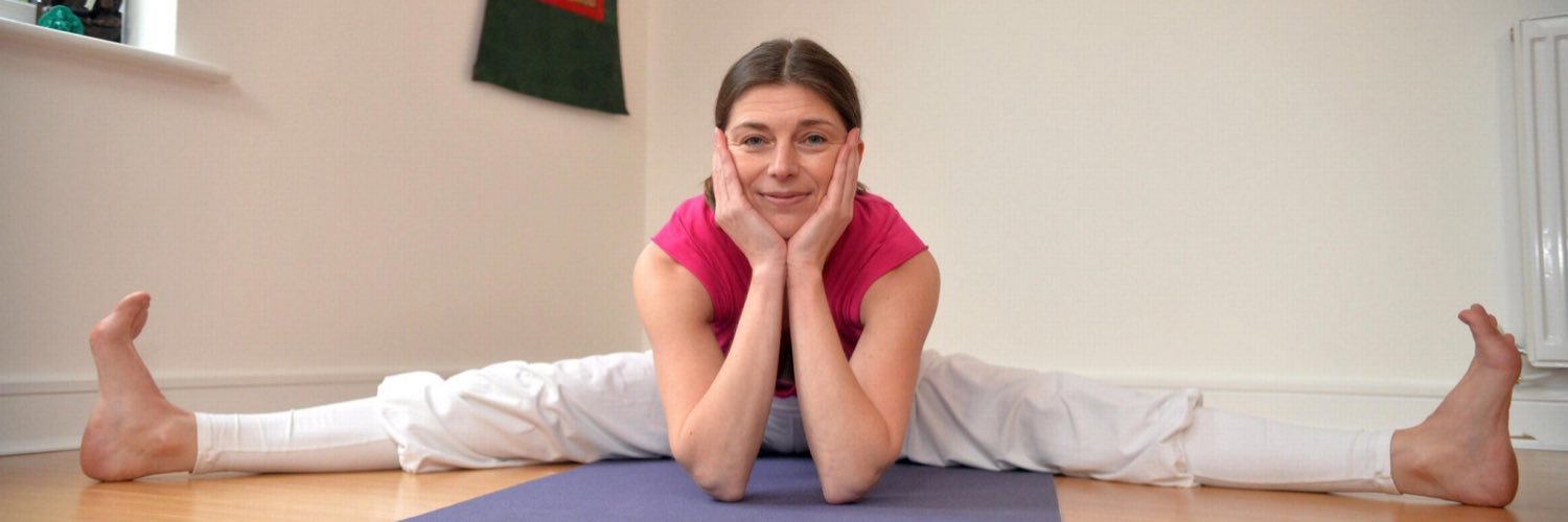 Motorcycling Yogi banner