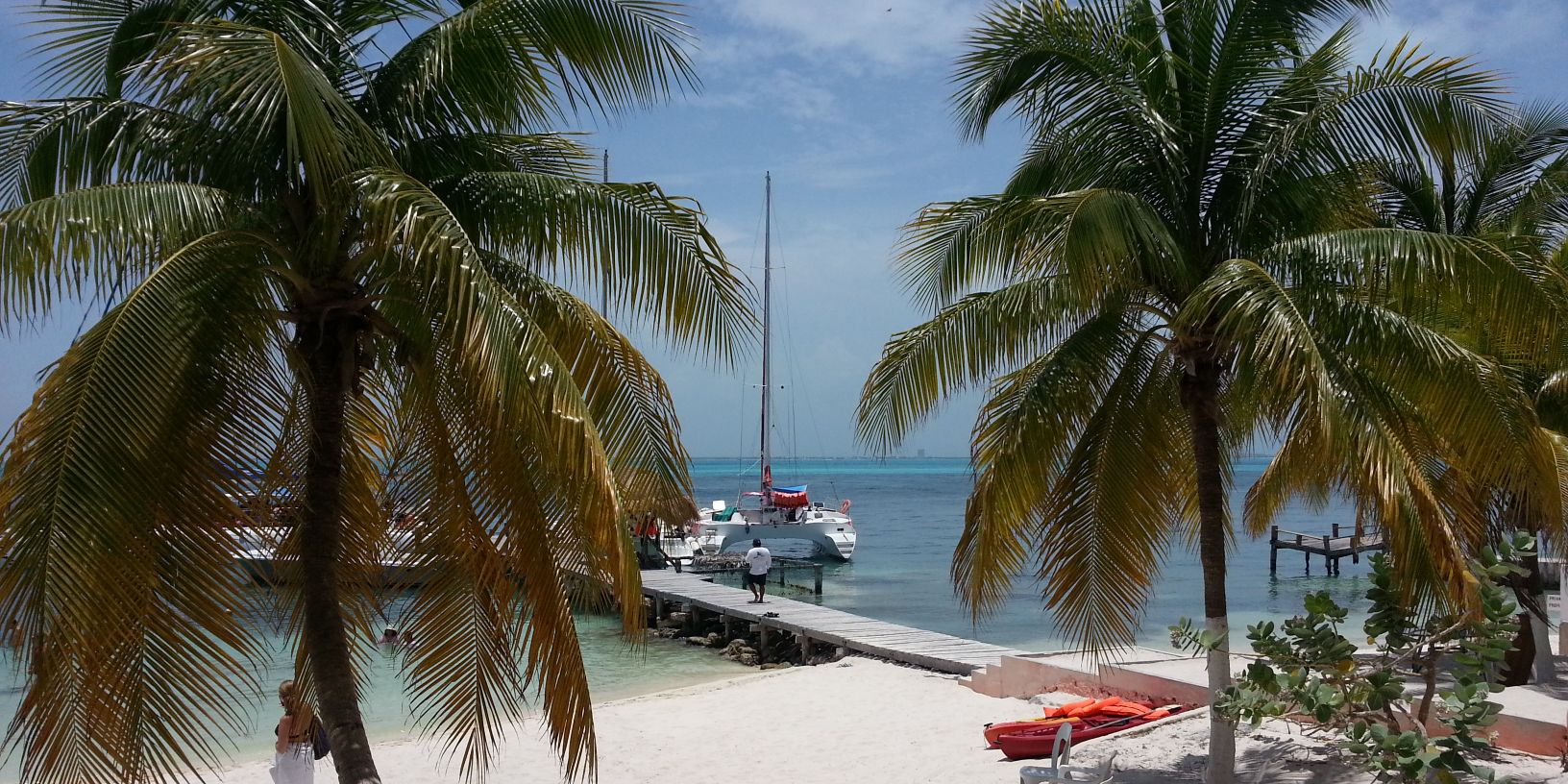 Christopher Lee banner