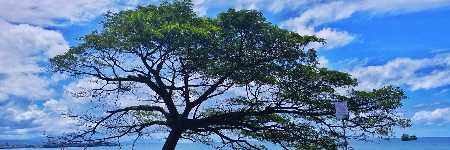 leotina_a's profile banner image
