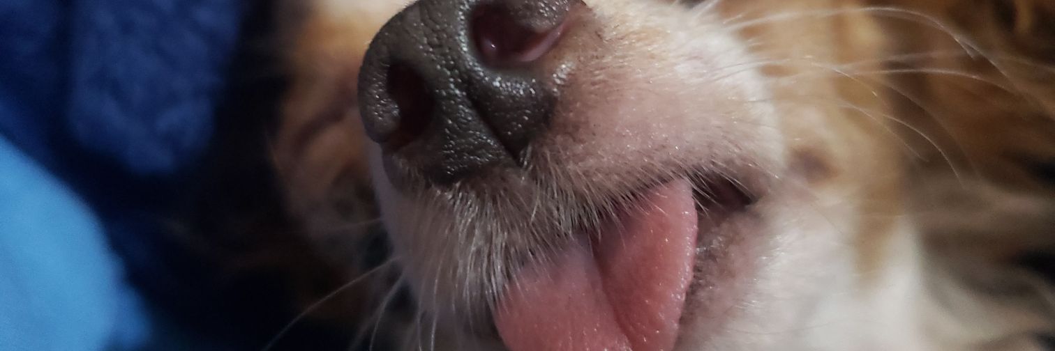 aleemtz30's profile banner image