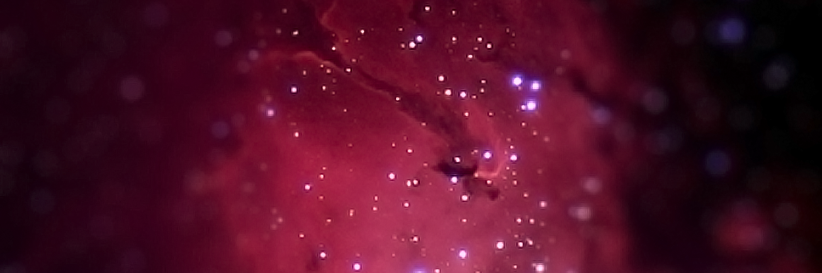 roywilsonlee's profile banner image