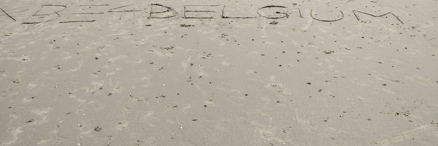 Tom Zwaenepoel 🇧🇪 🇪🇺 🇺🇳🏳️‍🌈 💛💙 banner