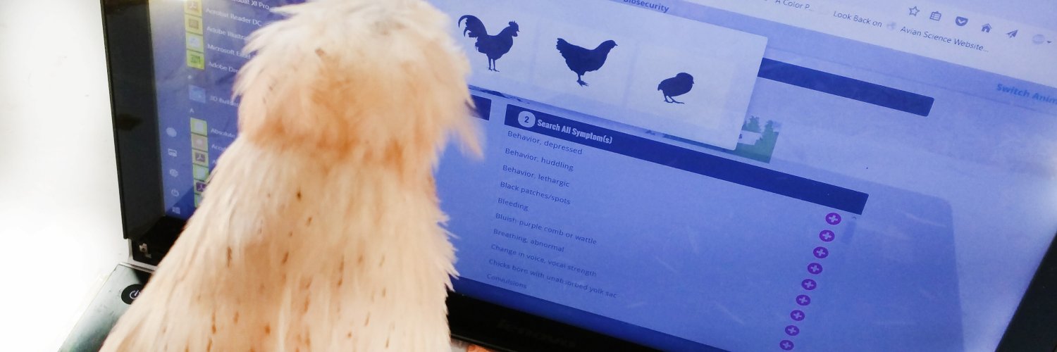 PoultryDVM's profile banner image