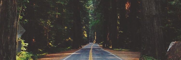 BaylieShepherd's profile banner image