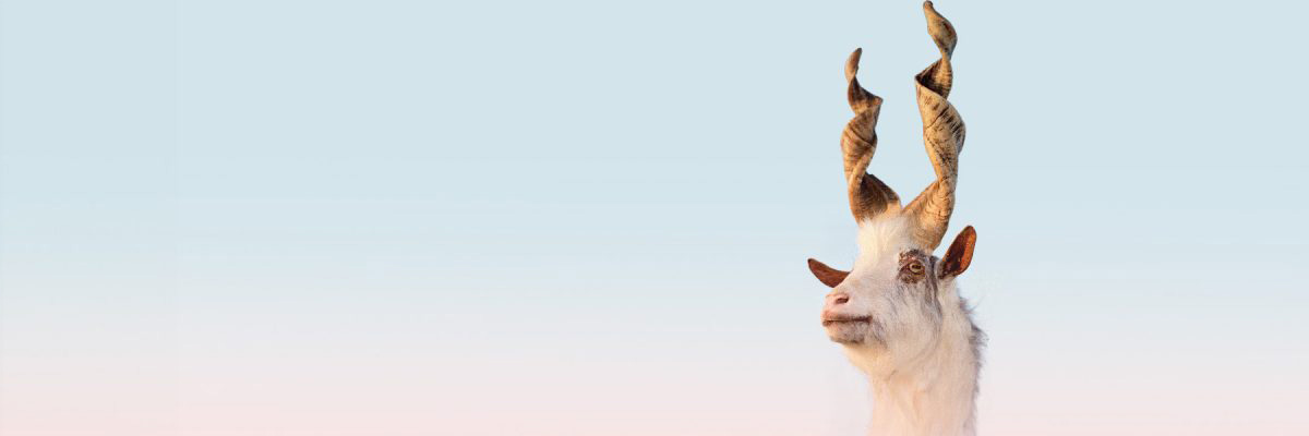 Science Notes banner