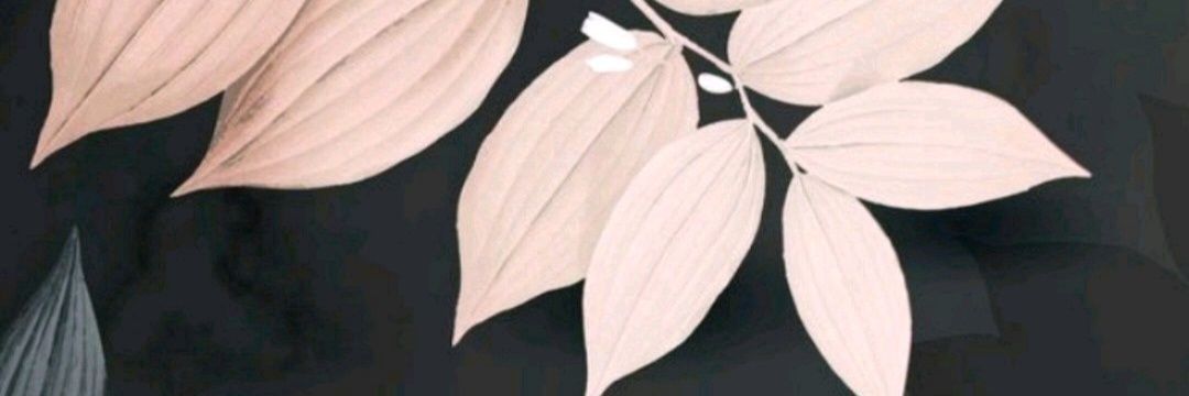 GiuliMandi's profile banner image