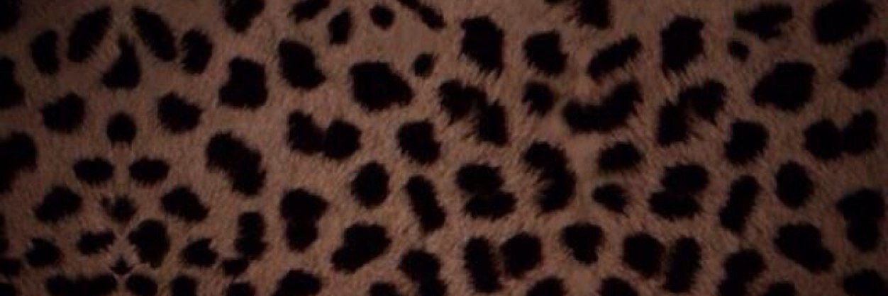 meme__0606's profile banner image