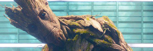 tomcastie's profile banner image