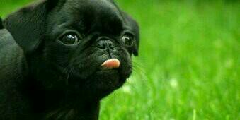 Themba_tea's profile banner image