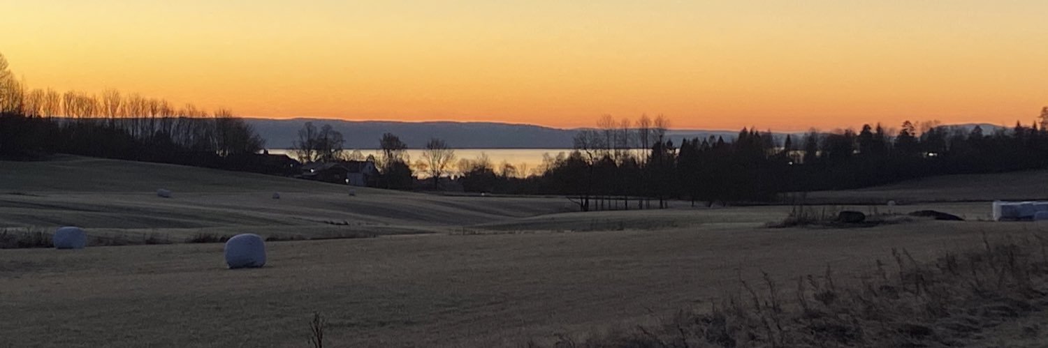 Martin Sørby banner