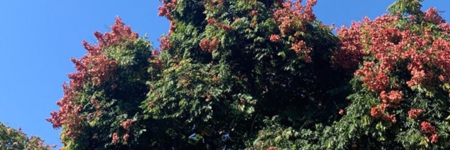 Jmaradiaa's profile banner image