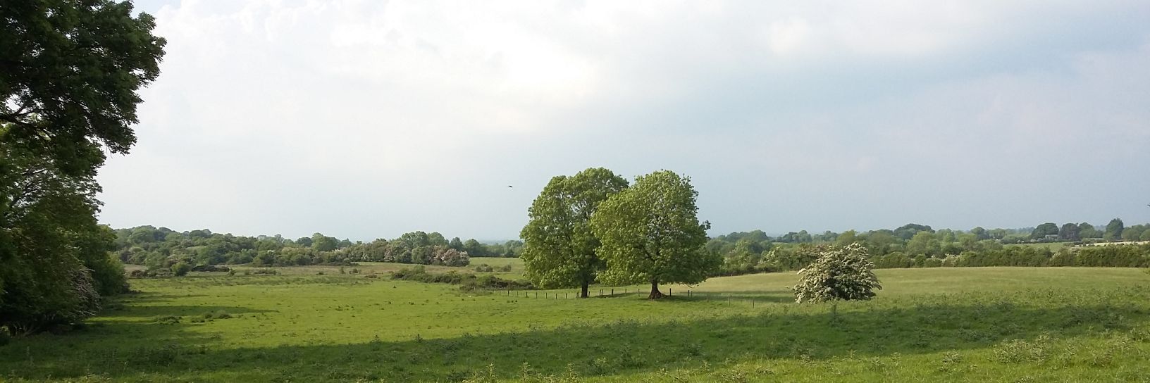 Aisling Murtagh banner