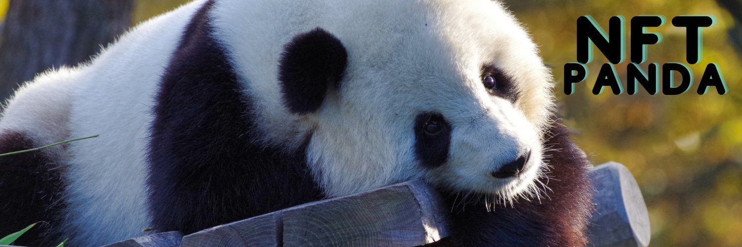 NFT Panda banner