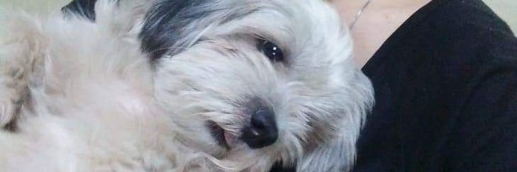 _changhaiii's profile banner image