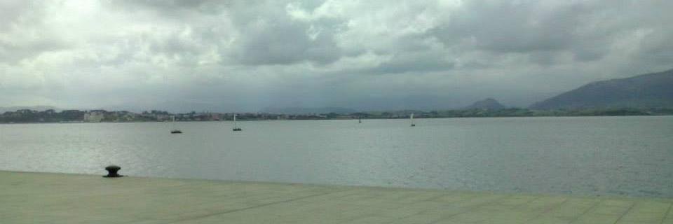 Maurick Starkvind banner