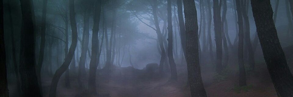anjos4545's profile banner image