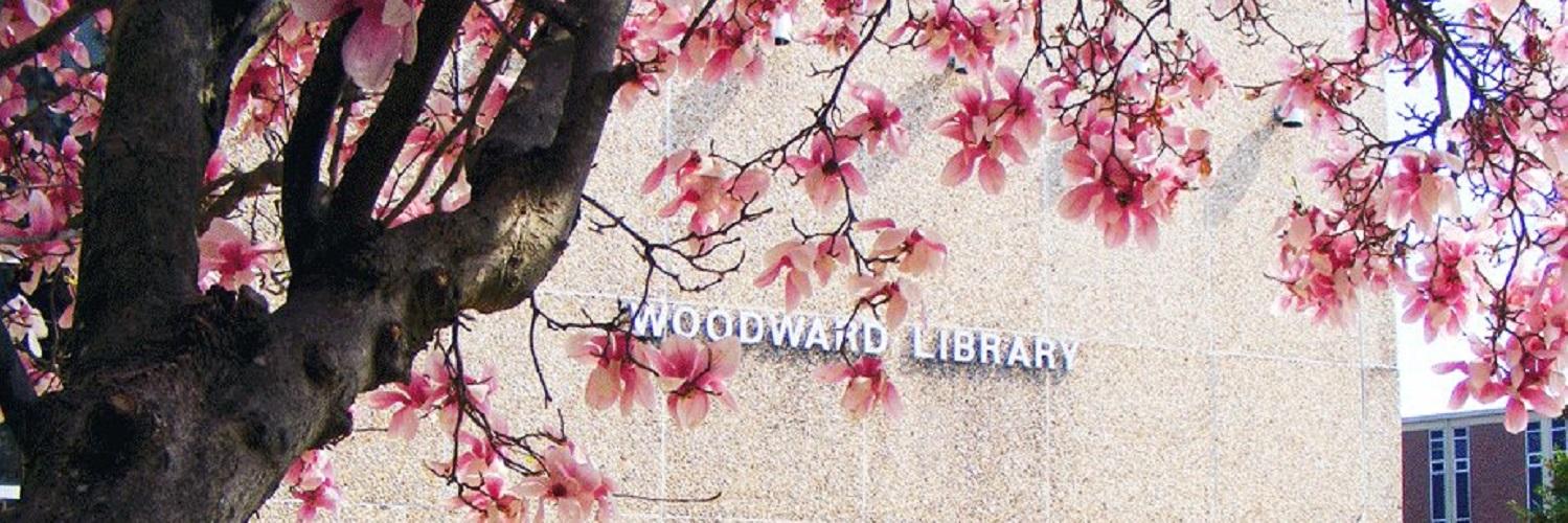 APSULibrary's profile banner image